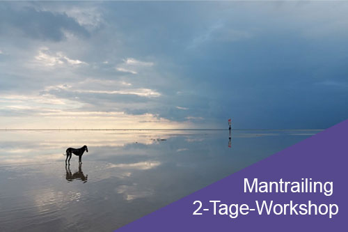 Mantrailing 2-Tage-Workshop