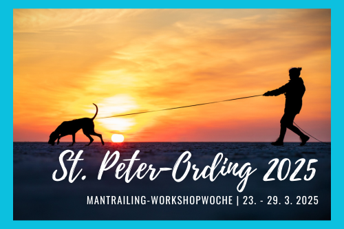 Mantrailing-Workshopwoche am Meer: St. Peter-Ording März 2025