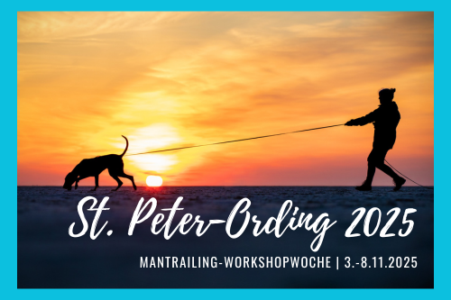 Mantrailing-Workshopwoche am Meer: St. Peter-Ording November 2025