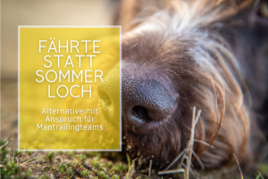 Fährte statt Sommerloch – Alternative mit Anspruch für Mantrailingteams 12.-13. Juli 9:00-12:30 Uhr