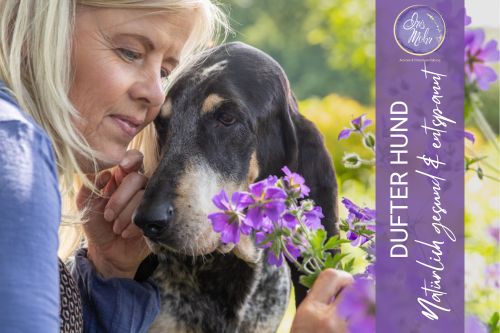 dufte Hunde - 🌿 Ätherische Öle für deinen Hund – Natürlich gesund & entspannt 🌿